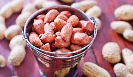 Bucket Of Nuts