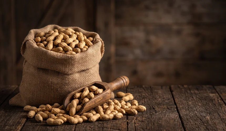 Burlap sack of Virginia peanuts in the shell with a wooden scoop